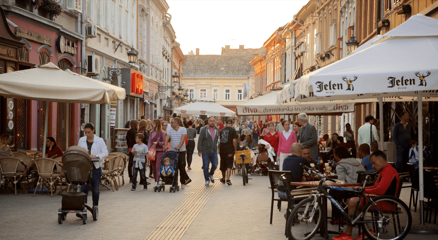 Discover the Best Things to Do in Novi Sad: From Petrovaradin Fortress to Local Cafes